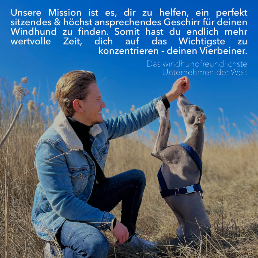 Mission elmorio Windhund Whippet Galgo Podenco Greyhound Geschirr Windhundgeschirr