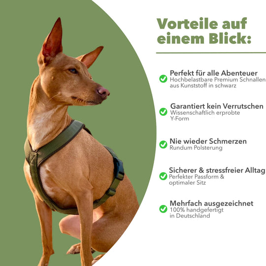 Hundegeschirr FUN "Mountain Green"