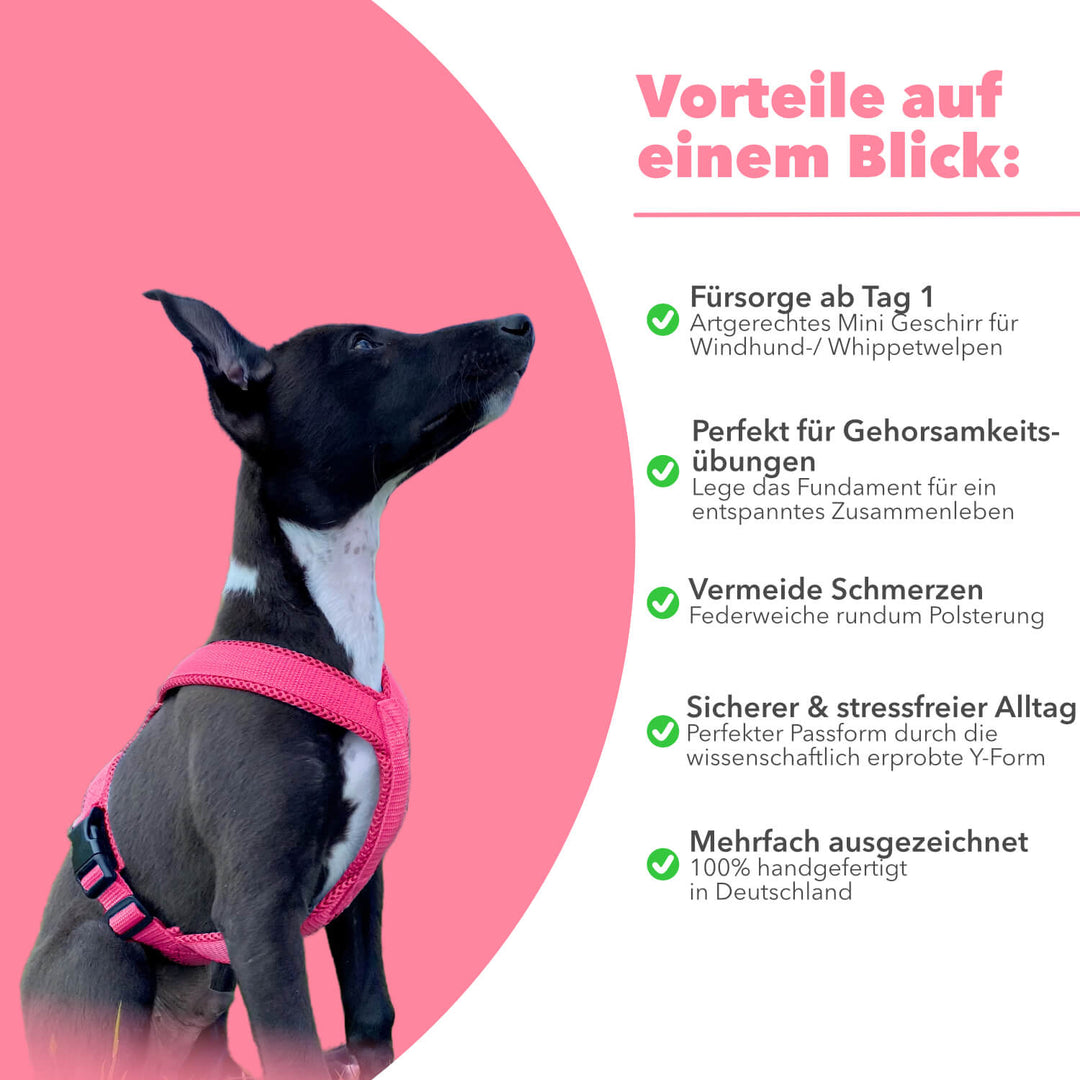 Hundegeschirr FUN Welpe/Windspiel "Flamingo Pink"