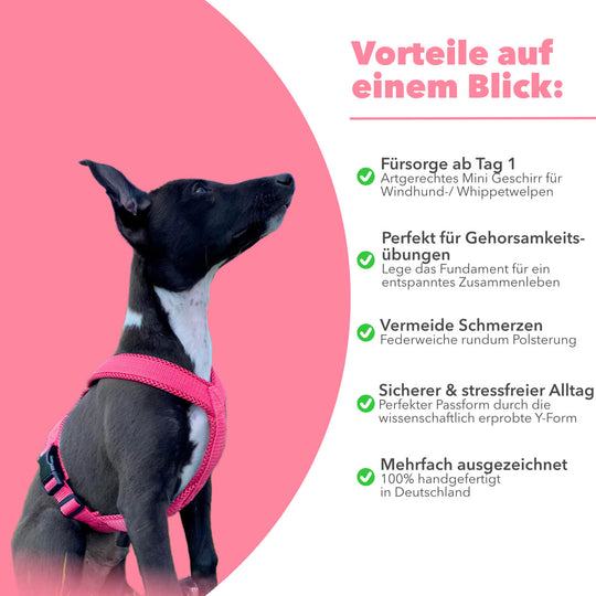 Hundegeschirr FUN Welpe/Windspiel "Flamingo Pink"