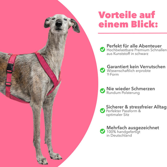 Hundegeschirr FUN "Flamingo Pink"