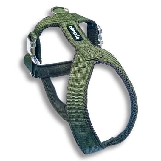 Hundegeschirr PRO "Mountain Green"