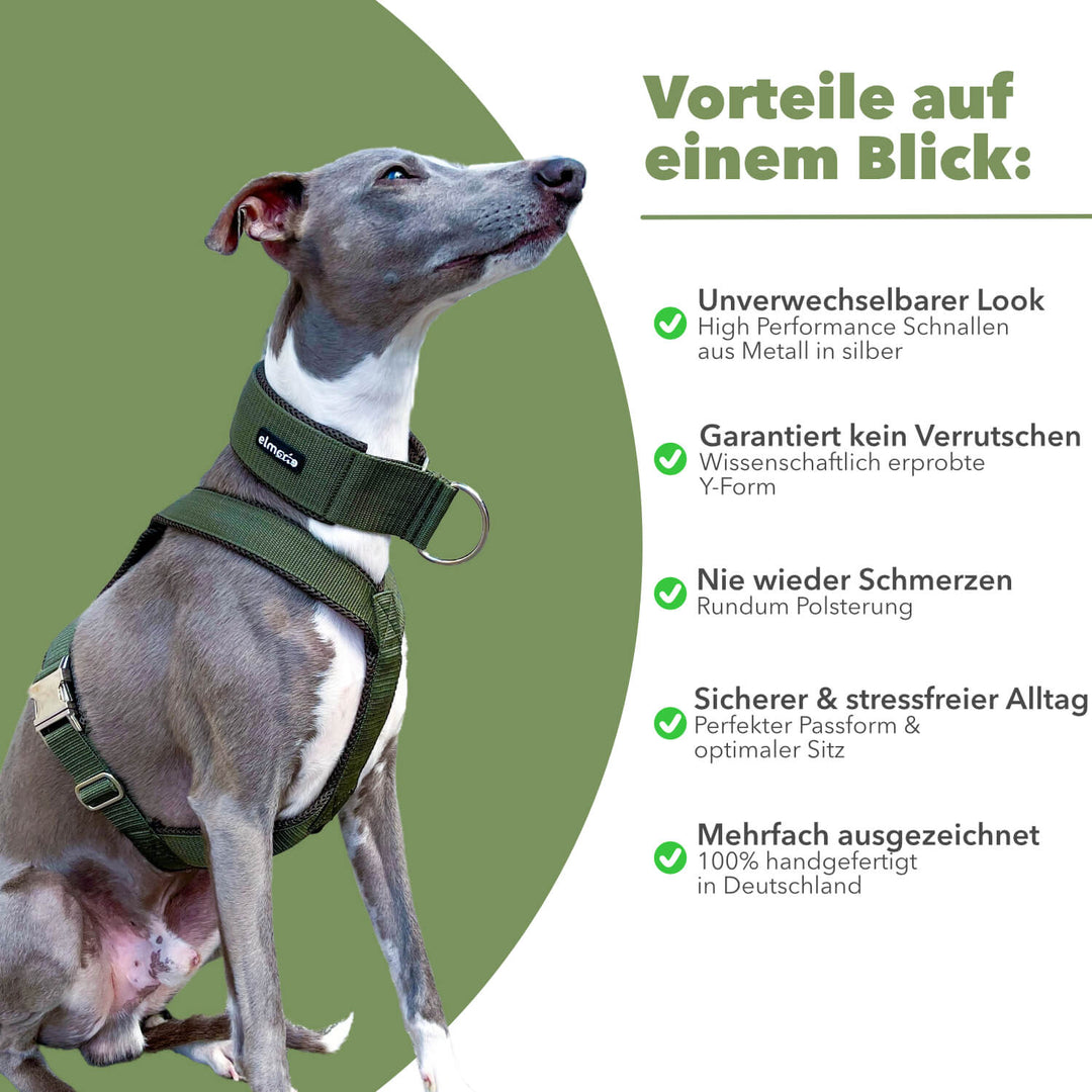 Hundegeschirr PRO "Mountain Green"