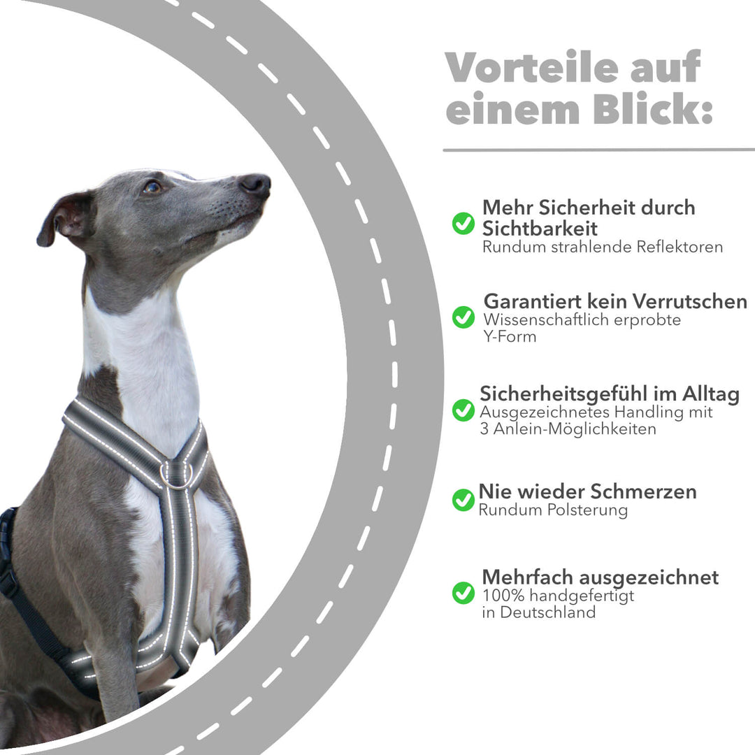 Windhundgeschirr gepolstert Geschirr Whippet, Galgo, Podenco, Greyhound Benefits Farbe schwarz Reflektor Benefits