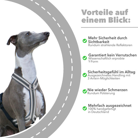 Windhundgeschirr gepolstert Geschirr Whippet, Galgo, Podenco, Greyhound Benefits Farbe schwarz Reflektor Benefits