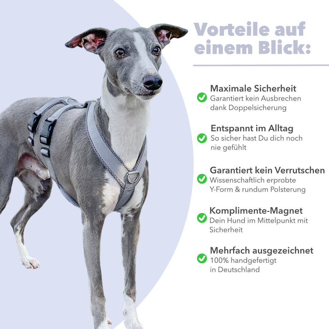 Sicherheitsgeschirr gepolstert für Windhunde wie Whippets, Galgos, Podencos und Greyhounds. Geschirr in grau
Rechts stehen alle Benefits/Vorteile