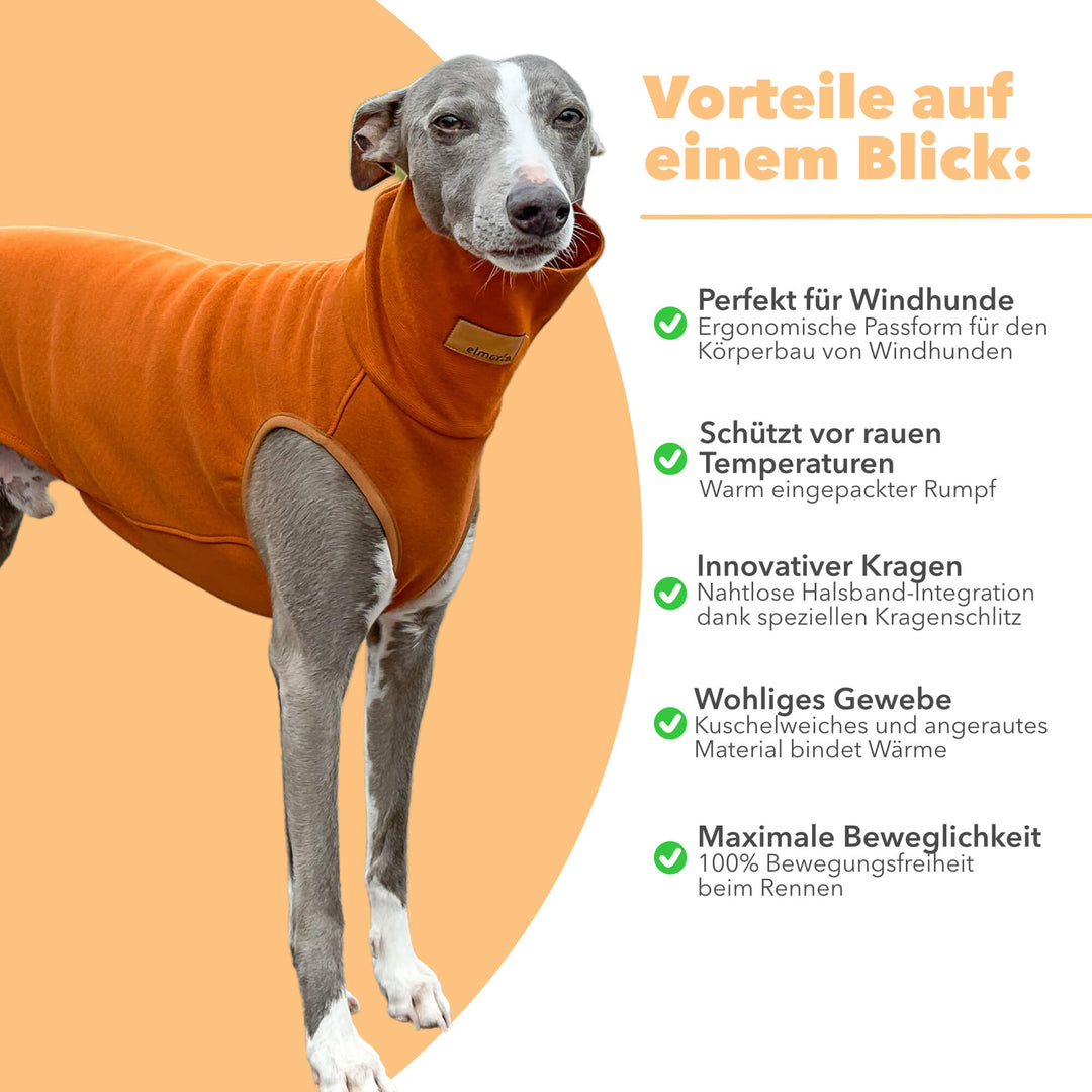 Windhund Pullover in karamell braun Pullover für Windhunde, Whippet, Galgo, Podenco, Greyhound Benefits