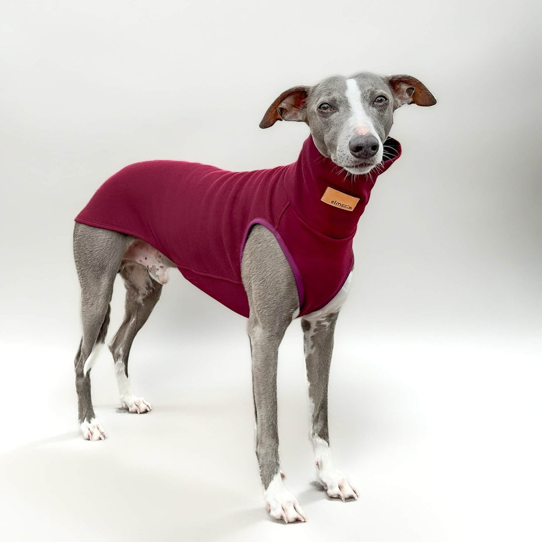 Windhund Pullover in weinrot Pullover für Windhunde, Whippet, Galgo, Podenco, Greyhound