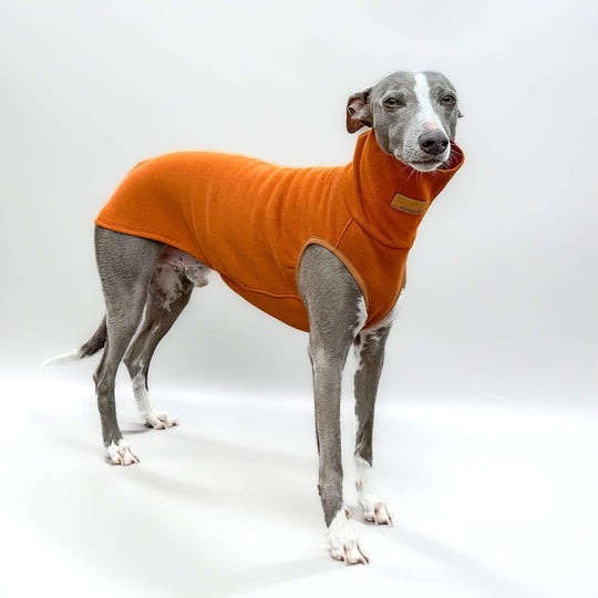 Windhund Pullover in karamell braun Pullover für Windhunde, Whippet, Galgo, Podenco, Greyhound