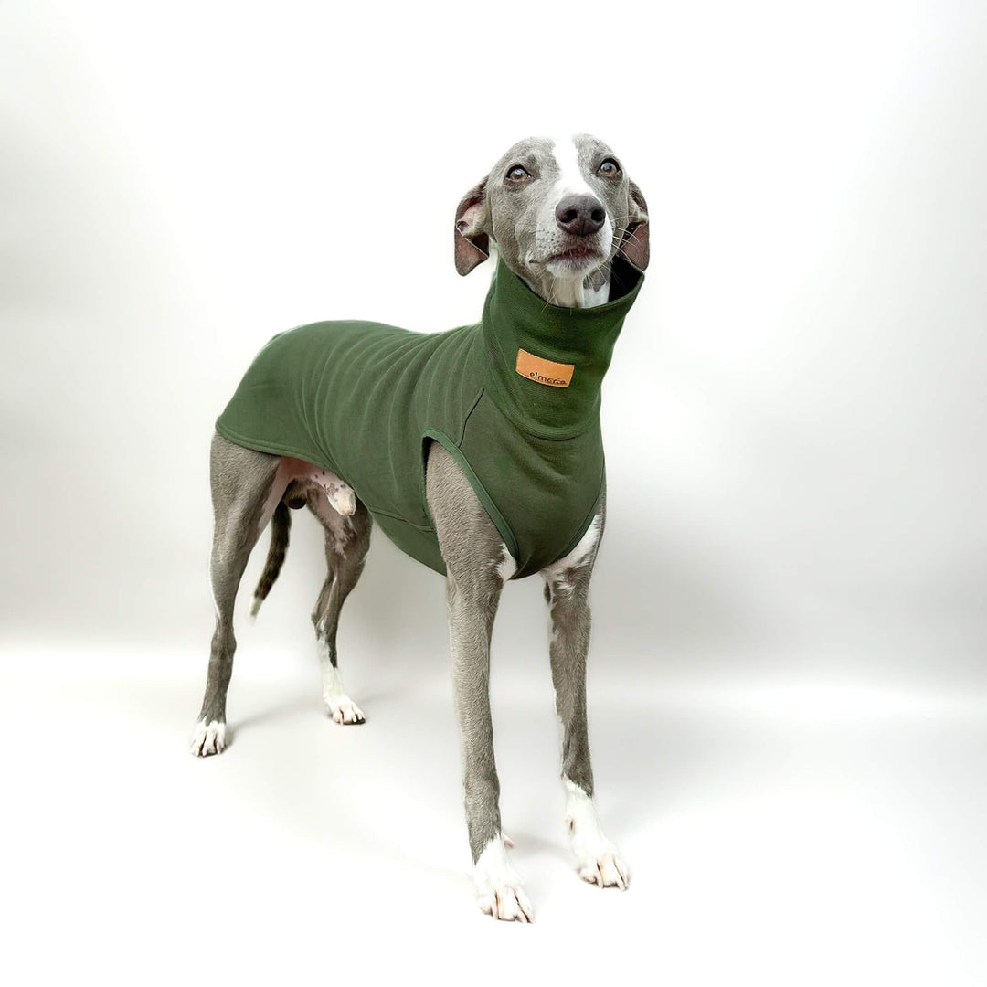 Windhund Pullover in khaki Pullover für Windhunde, Whippet, Galgo, Podenco, Greyhound