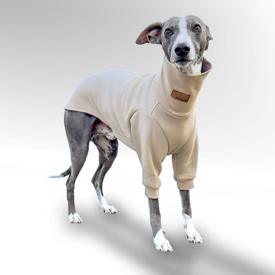 Windhund Pullover Overall in beige Pullover für Windhunde, Whippet, Galgo, Podenco, Greyhound