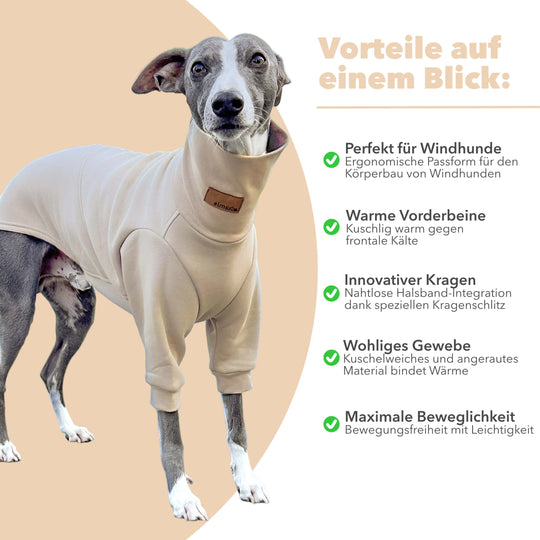 Windhund Pullover Overall in beige Pullover für Windhunde, Whippet, Galgo, Podenco, Greyhound Benefits