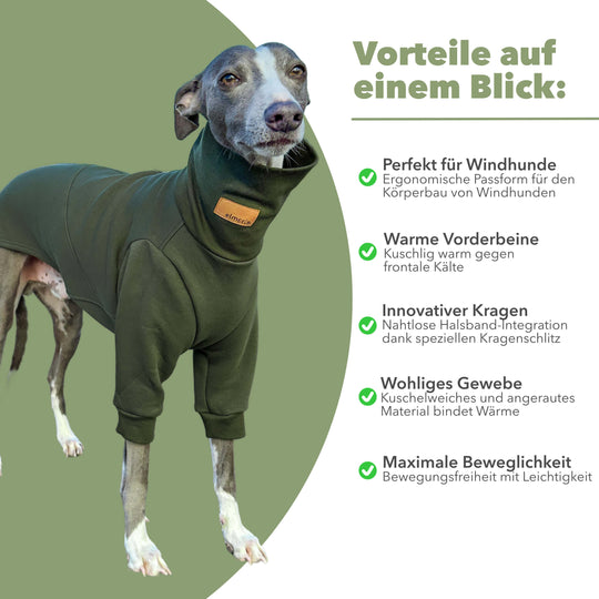 Windhund Pullover Overall in khaki Pullover für Windhunde, Whippet, Galgo, Podenco, Greyhound Benefits