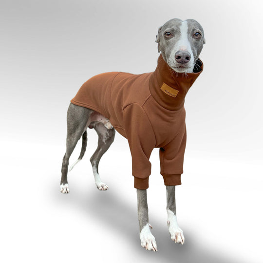 Windhund Pullover Overall in braun Pullover für Windhunde, Whippet, Galgo, Podenco, Greyhound