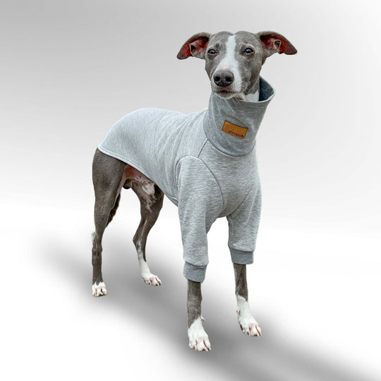 Windhund Pullover Overall in grau Pullover für Windhunde, Whippet, Galgo, Podenco, Greyhound