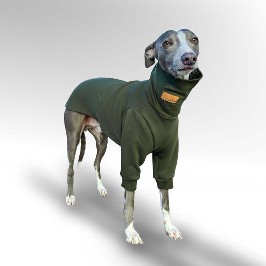 Windhund Pullover Overall in khaki Pullover für Windhunde, Whippet, Galgo, Podenco, Greyhound