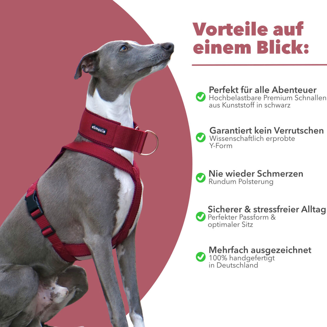 Windhundgeschirr gepolstert Geschirr Whippet, Galgo, Podenco, Greyhound Benefits Farbe rot bordeaux