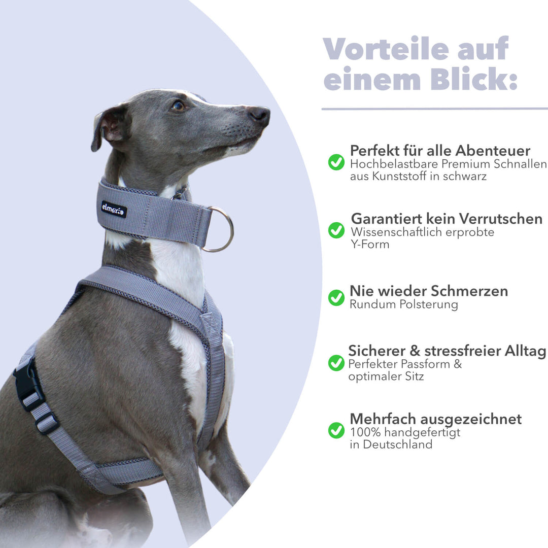 Windhundgeschirr gepolstert Geschirr Whippet, Galgo, Podenco, Greyhound Benefits Farbe grau