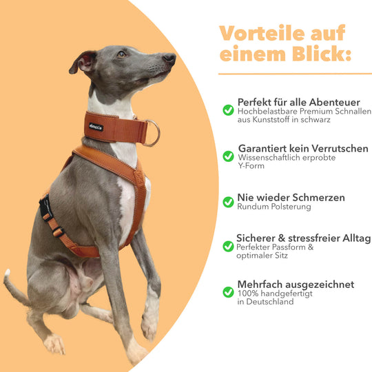 Windhundgeschirr gepolstert Geschirr Whippet, Galgo, Podenco, Greyhound Benefits Farbe karamell