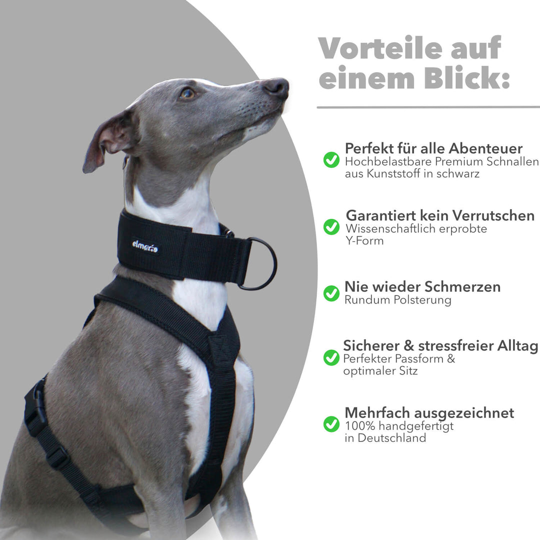 Windhundgeschirr gepolstert Geschirr Whippet, Galgo, Podenco, Greyhound Benefits Farbe schwarz