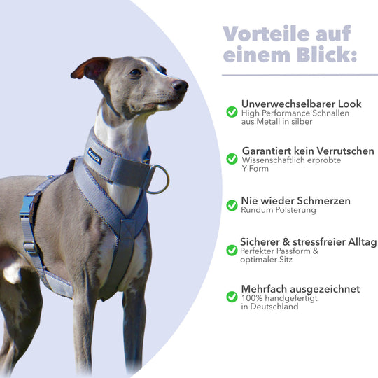 Windhundgeschirr gepolstert Geschirr Whippet, Galgo, Podenco, Greyhound Benefits Farbe grau