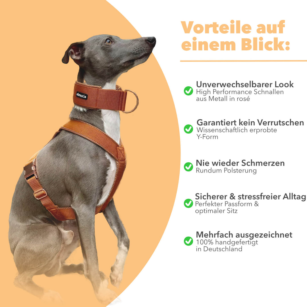 Windhundgeschirr gepolstert Geschirr Whippet, Galgo, Podenco, Greyhound Benefits Farbe karamell