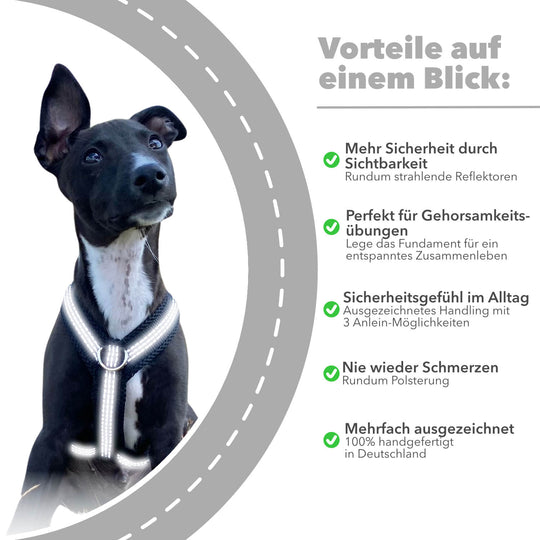 Hundegeschirr REFLEX Welpe/Windspiel "Black"